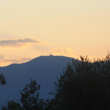 אימפריה La Quercia Agriturismo מראה חיצוני תמונה