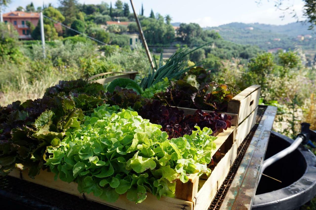 אימפריה La Quercia Agriturismo מראה חיצוני תמונה